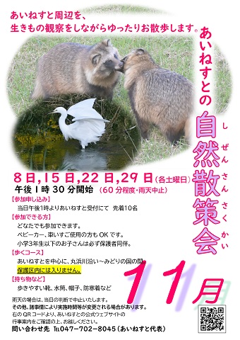 あいねすとの自然散策会11月のポスター クリックするとPDFファイルが開きます