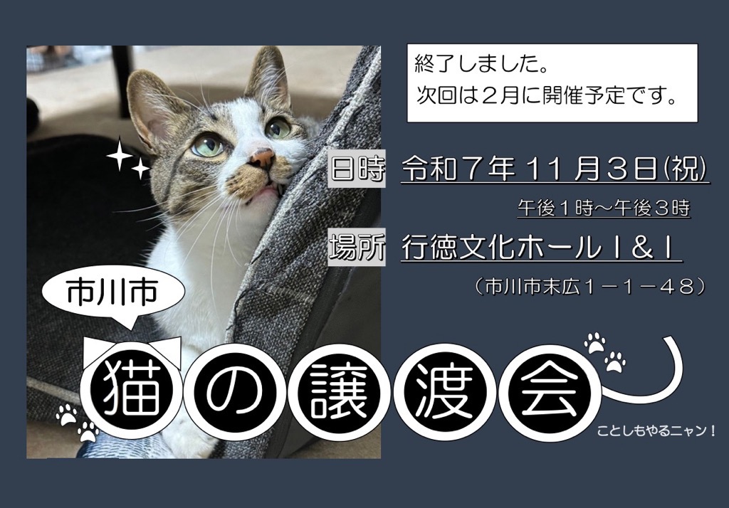 令和7年度 猫譲渡会 終了詳細 0000499454