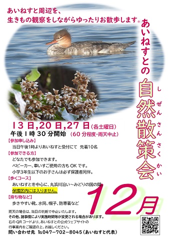 あいねすとの自然散策会12月のポスター クリックするとPDFファイルが開きます