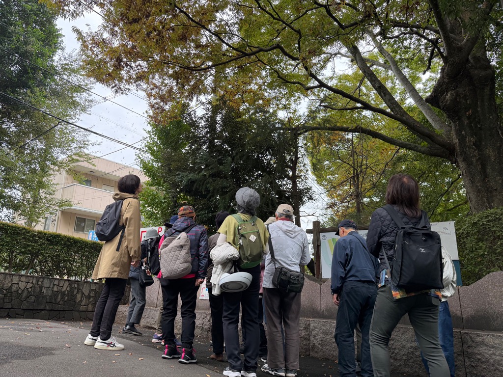 写真：秋を感じる自然観察会