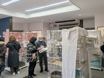 ミニ譲渡会の様子