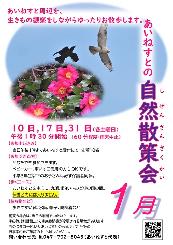 あいねすとの自然散策会1月のポスター クリックするとPDFファイルが開きます。