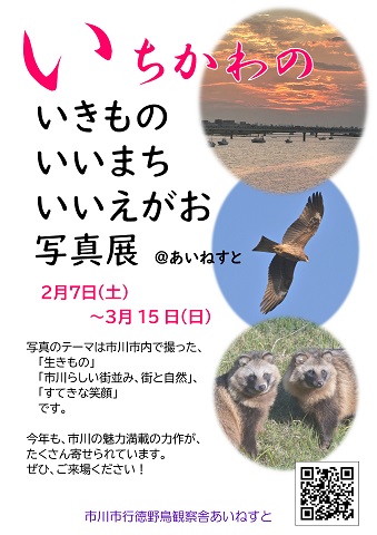 いちかわの いきもの いいまち いいえがお写真展 in あいねすと ポスター クリックするとPDFファイルが開きます