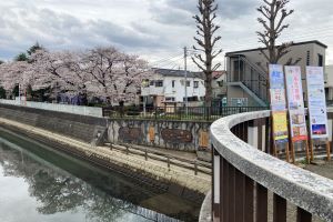 写真：手児奈橋