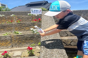 写真：水やり