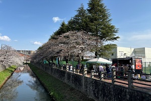 写真：新菅野橋付近