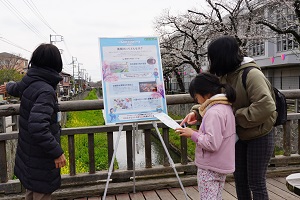 写真：新菅野橋付近