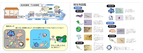 しょりじょうとびせいぶつ