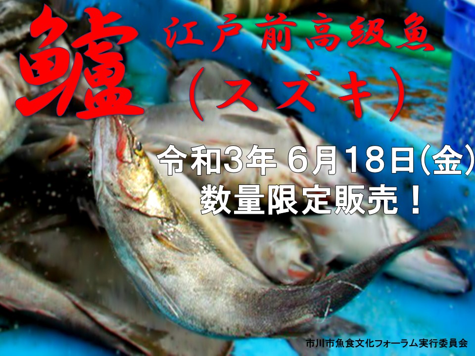 市内鮮魚店で江戸前高級魚スズキ販売 市川市公式webサイト