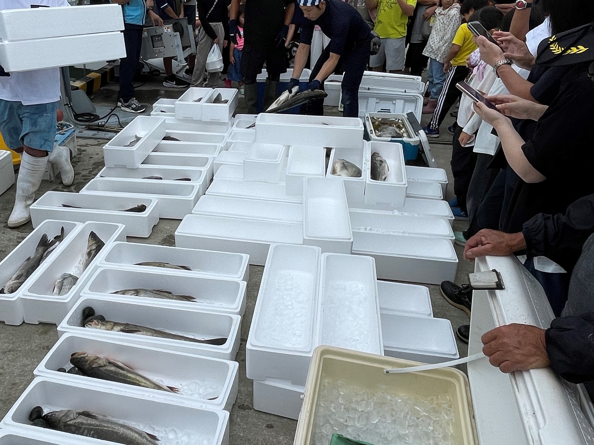 活魚詰合せ直売の様子の写真