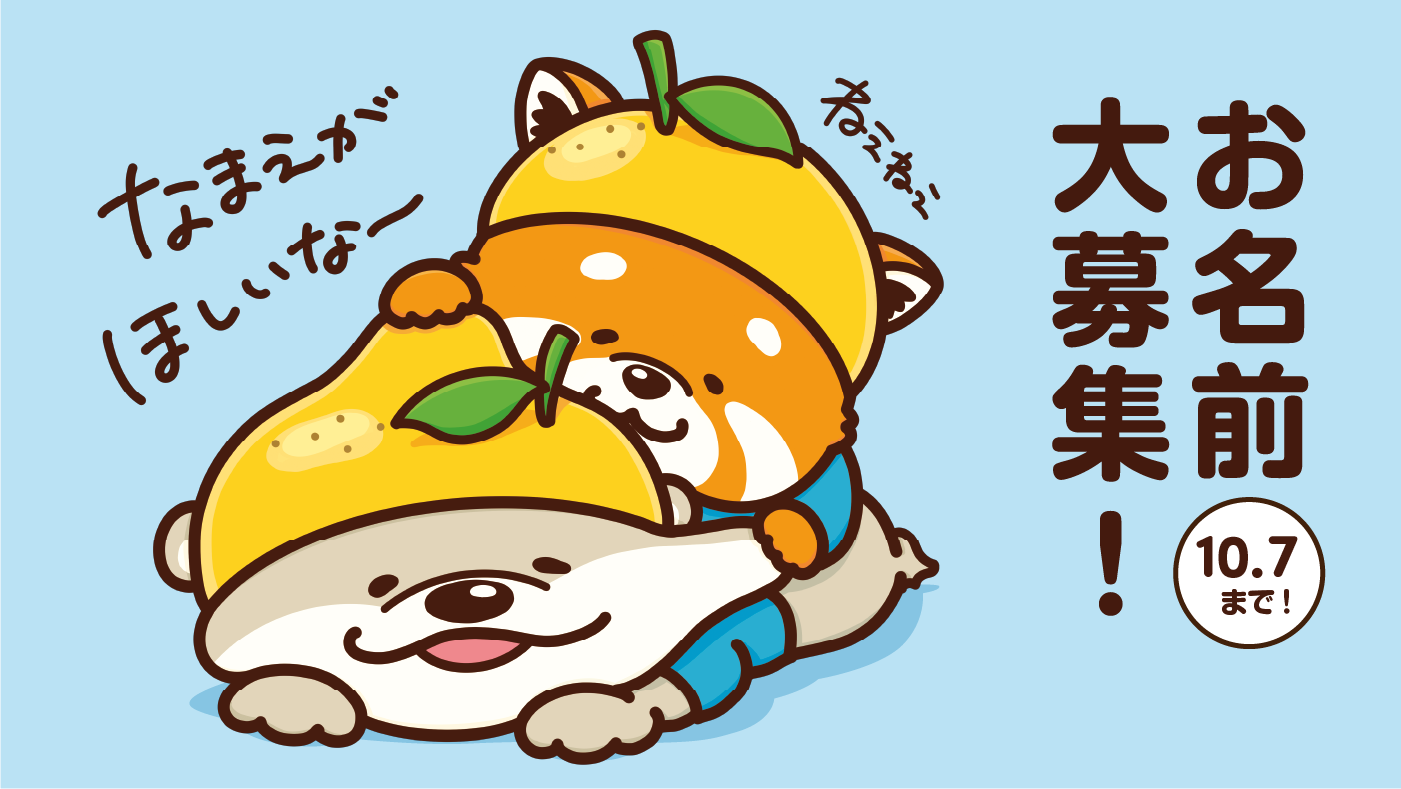 お名前大募集。10月7日まで。ねえねえなまえがほしいな