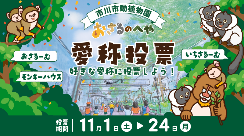 市川市動植物園おさるのへや愛称投票好きな愛称に投票しよう「おさるーむ」「いちさるーむ」「モンキーハウス」投票期間11月1日土曜日から11月24日月曜日