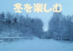 特集ポスター 冬を楽しむ 特集ポスター 冬を楽しむ