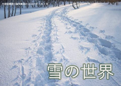 雪の世界ポスター