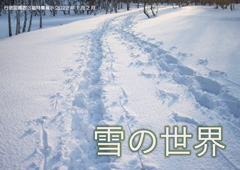雪の世界ポスター 雪の世界ポスター