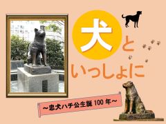 特集ポスター 犬といっしょに 写真:犬といっしょに