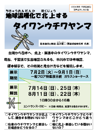 タイワンウチワヤンマの標本展示チラシ