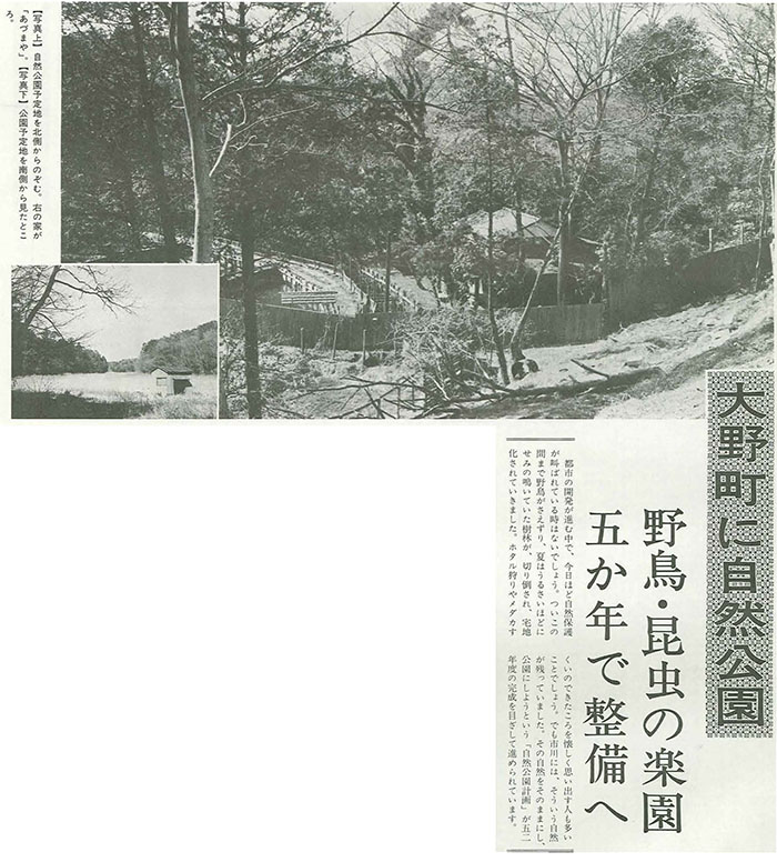 紙面の切り抜き  大野町に自然公園