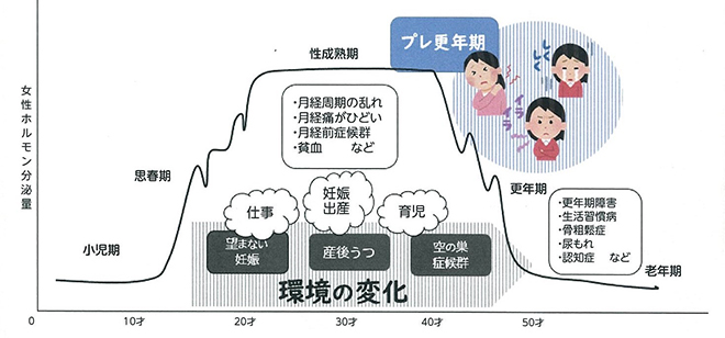 図：女性ホルモン分泌量と年齢の関係グラフ