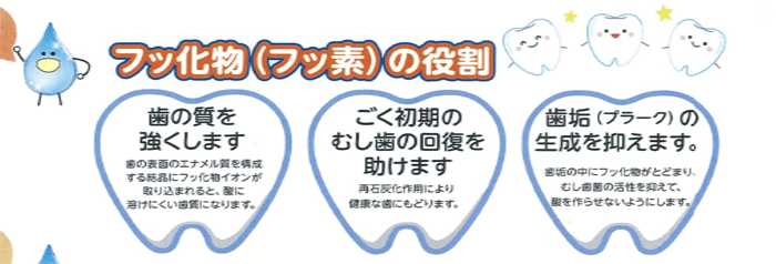 フッ化物の役割