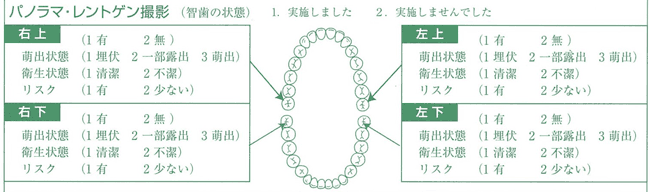 二十歳の歯科健診診査票