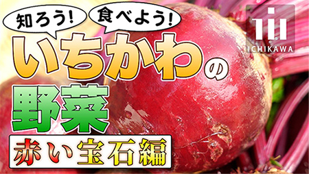 画像：知ろう！食べよう！いちかわの野菜赤い宝石編