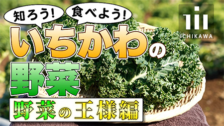 画像：知ろう！食べよう！いちかわの野菜野菜の王様編