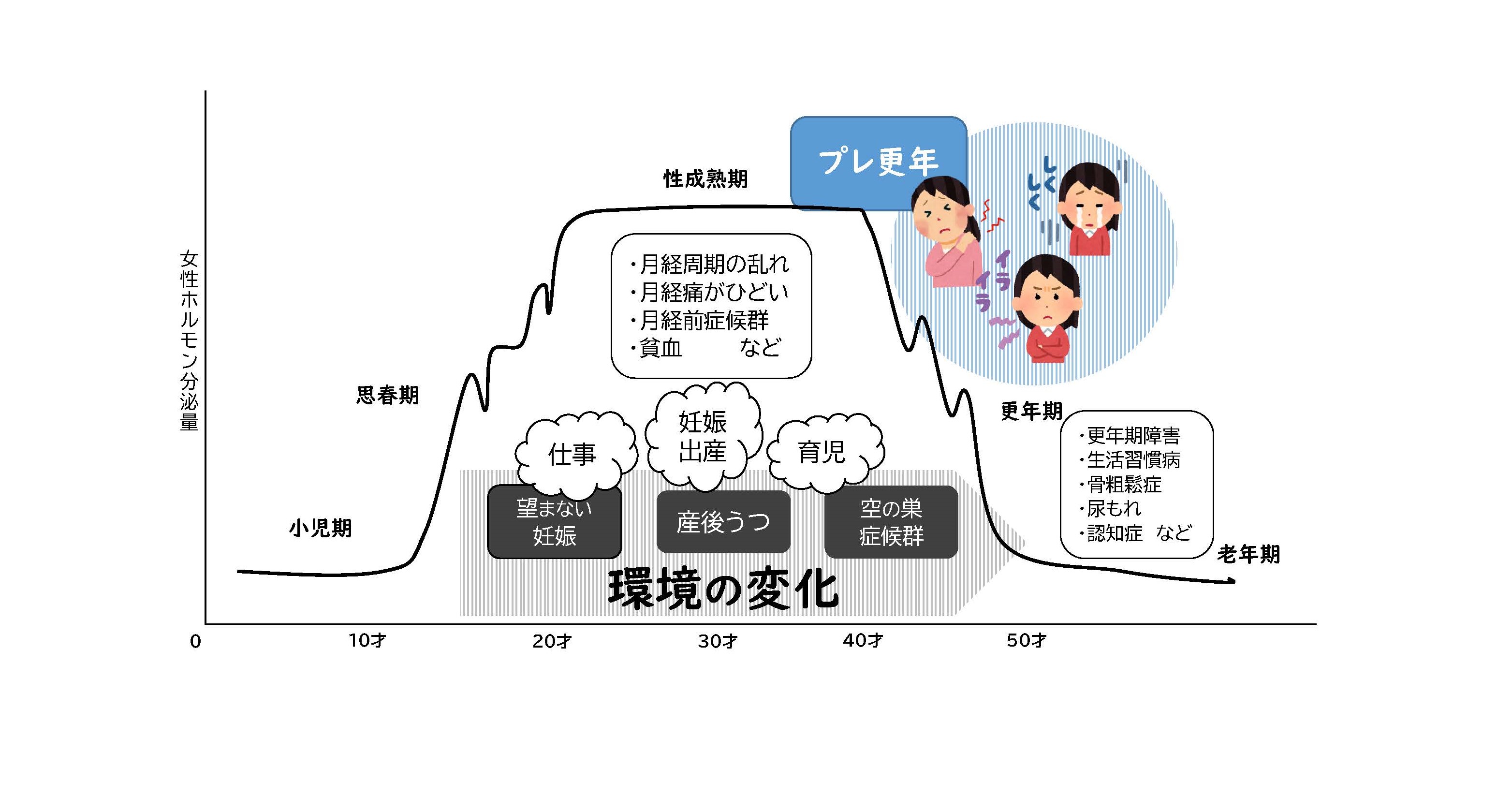 女性ホルモン分泌量と年齢の関係グラフ。女性ホルモンの分泌量は10代後半の思春期から急激に上昇し、20代から40代の性成熟期に一定の分泌量となる。閉経前後の40代半ばから50代半ばまでの時期を更年期といい、女性ホルモンが急激に減少する。 20代から50代は、仕事、妊娠出産、育児など環境の変化により産後うつや空の巣症候群などの症状が現れることがある。30代後半からはプレ更年期ともよばれ、肩こりがひどくなったり情緒が不安定になったりする。また、更年期から老年期にかけては更年期障害や生活習慣病などの症状が現れることがある。