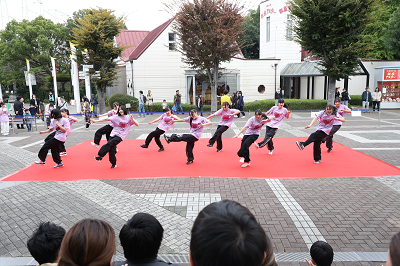 昨年実施した「踊 in ICHIKAWA」の様子です