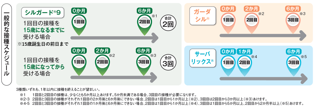 画像：標準的な接種スケジュール。シルガード9は、1回目の接種を15歳誕生日の前日までに受ける場合、合計2回。一般的なスケジュールでは、2回目は1回目の6か月後の接種になります。なお1回目と2回目の接種は、少なくとも5か月以上あけます。5か月未満である場合、3回目の接種が必要になります。1回目の接種を15歳になってから受ける場合、合計3回。一般的なスケジュールでは、2回目は1回目の接種から2か月後の接種になります。3回目は1回目の接種から6か月後の接種になります。なお2回目と3回目の接種がそれぞれ1回目の2か月後と6か月後にできない場合、2回目は1回目から1か月以上、3回目は2回目から3か月以上あけます。ガーダシルは、1回目から2回目は2か月あけて接種、3回目は1回目から6か月あけて接種します。なお2回目と3回目の接種がそれぞれ1回目の2か月後と6か月後にできない場合、2回目は1回目から1か月以上、3回目は2回目から3か月以上あけます。サーバリックスは、1回目から2回目は1か月あけて接種、3回目は1回目から6か月あけて接種します。なお2回目と3回目の接種がそれぞれ1回目の1か月後と6か月後にできない場合、2回目は1回目から1か月以上、3回目は１回目から５か月以上、2回目から2か月半以上あけます。