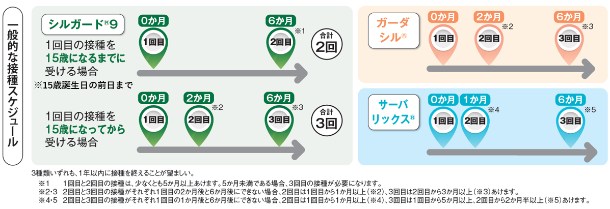 HPV一般的な接種スケジュールのフロー図