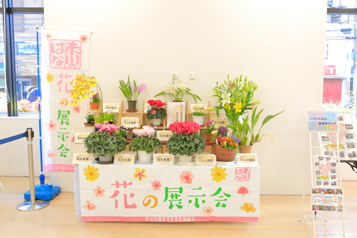 市川産花の展示の写真