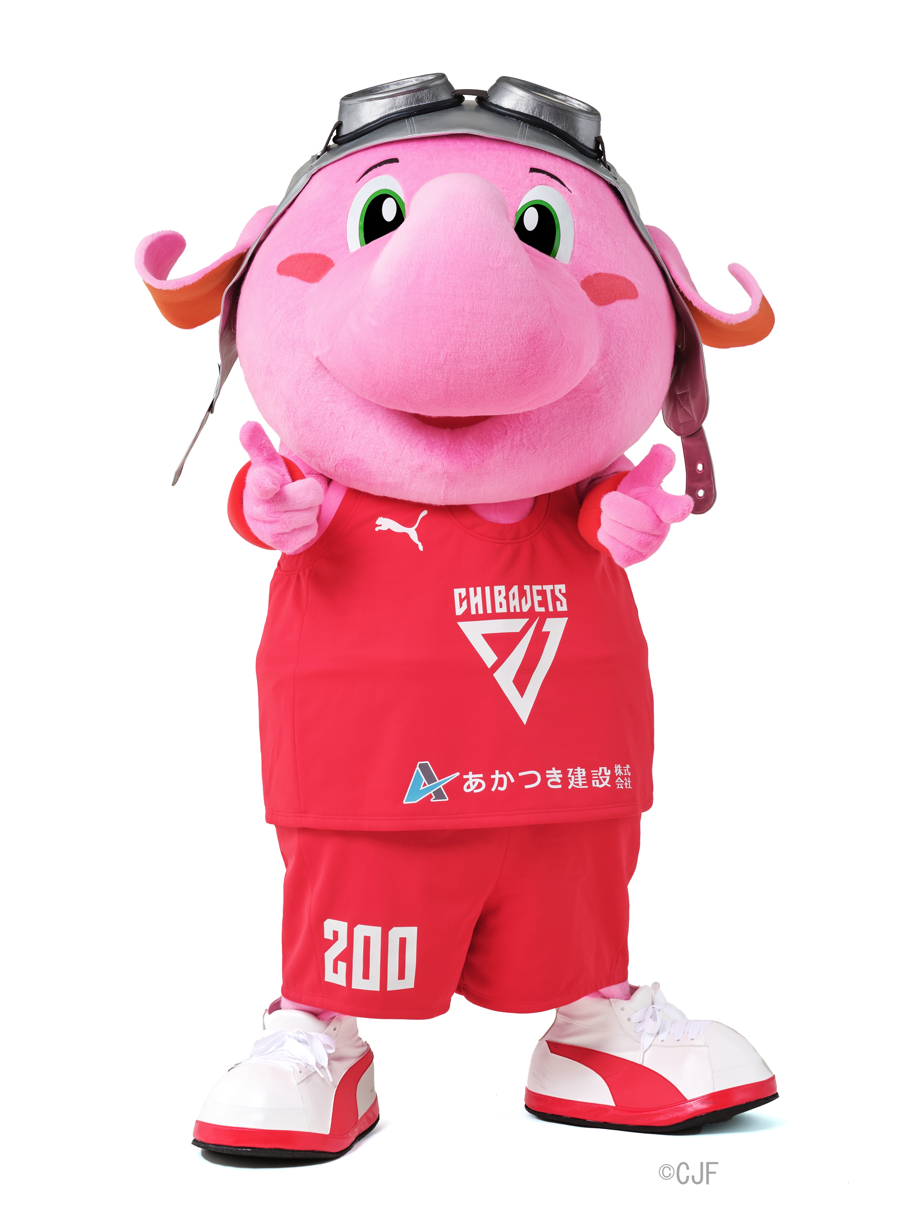 写真：千葉ジェッツ公式マスコットキャラクタージャンボくん