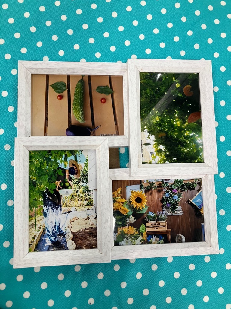 あいわん　夏の風景 0000473227