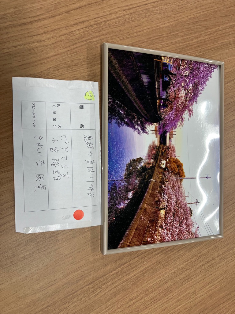 あいわん　鬼越　桜 0000503585