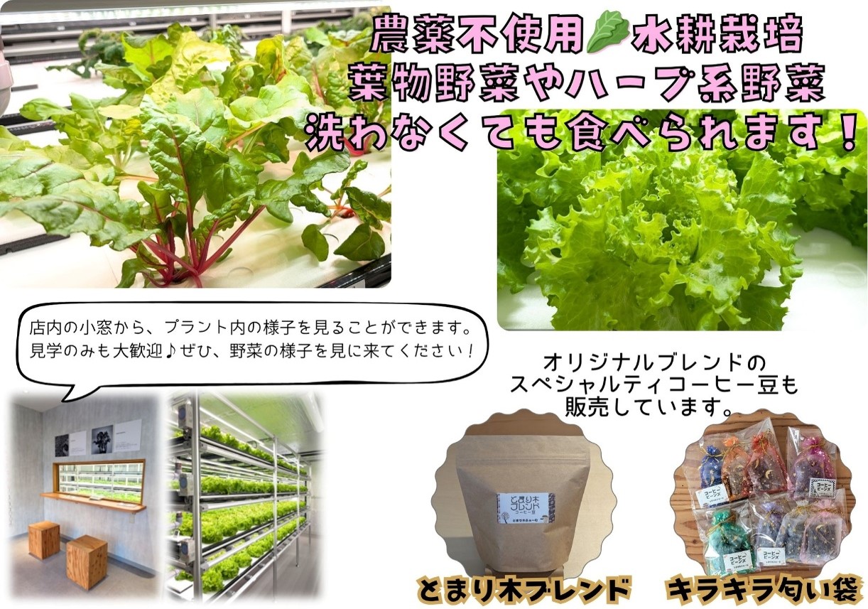 令和7年　とまり木ふぁあむ 　商品写真