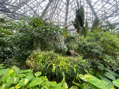 写真：観賞植物園