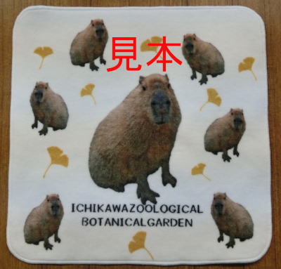 ハンドタオルの写真