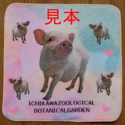 ハンドタオルの写真