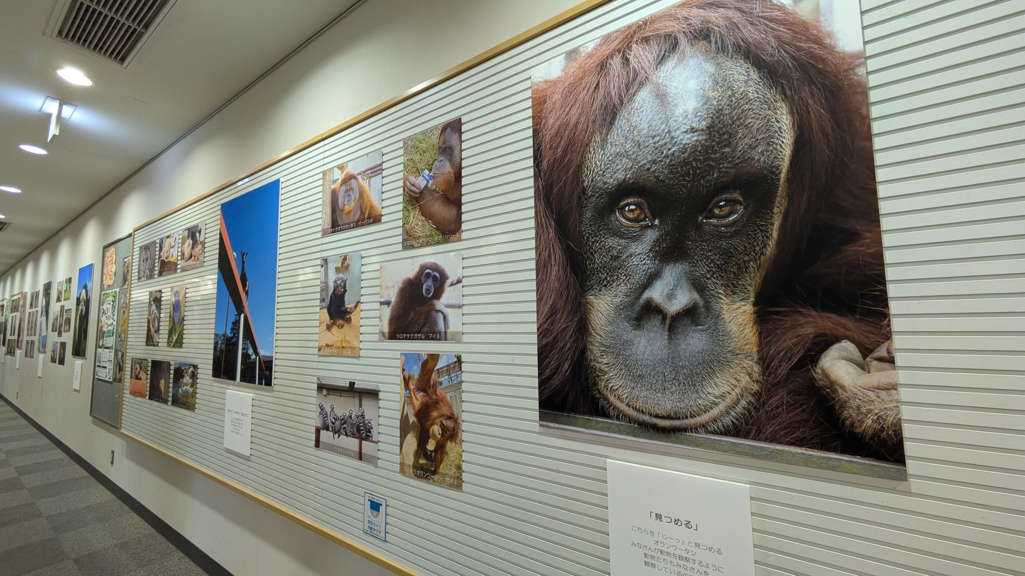 写真：写真展の様子