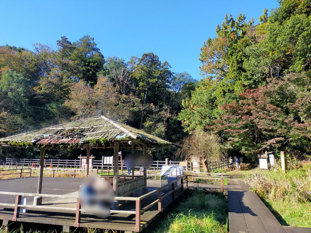 写真　もみじ山三角池側
