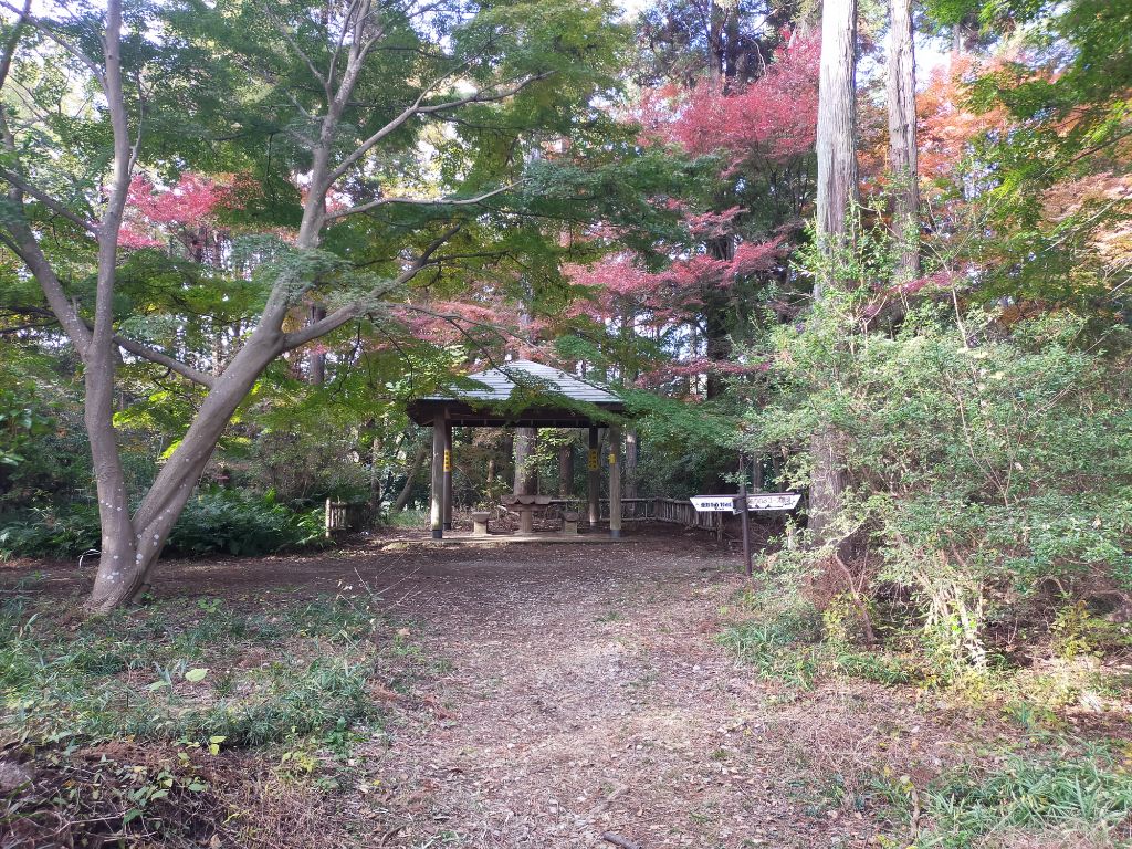 写真　もみじ山入口側20241202