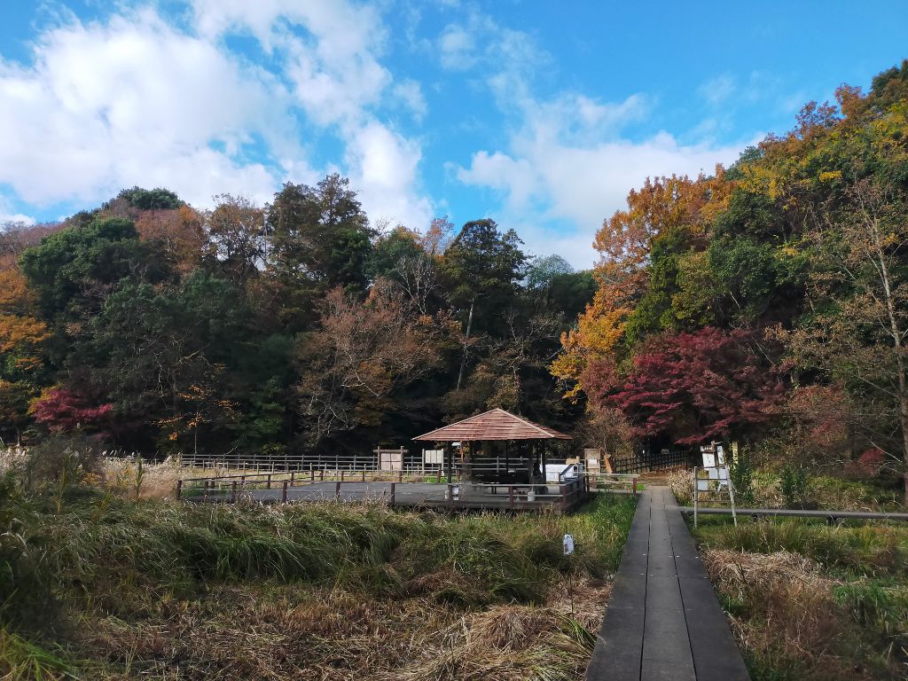 写真　もみじ山三角池側20241202