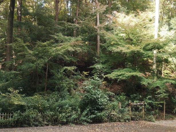 写真：もみじ山動植物園側入口20251106