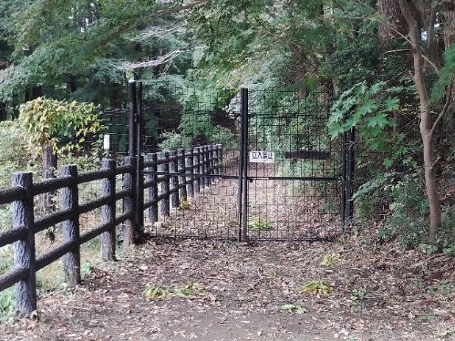 写真：もみじ山三角池側入口20251106