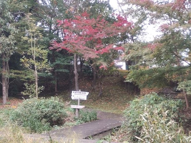 写真：観賞植物園大町公園側入口20251106