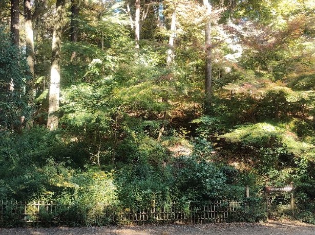 写真：もみじ山動物園側入口