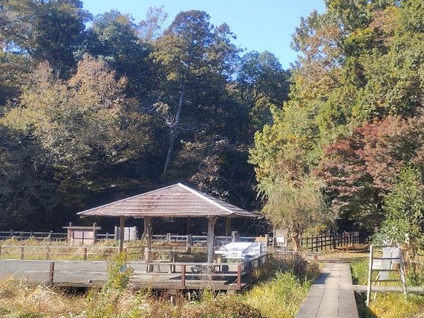 写真：もみじ山三角池側入口