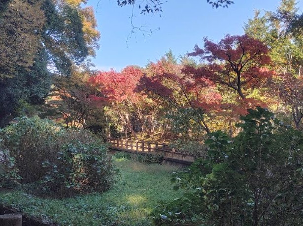 写真：もみじ山三角池側入口