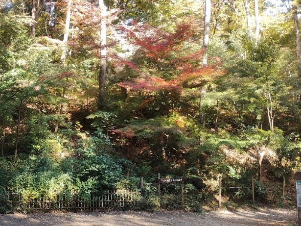 写真：もみじ山の動物園側入口